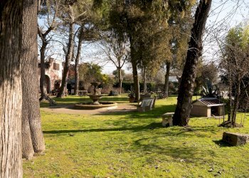 Giardino - Locale Commerciale Ceregnano - foto 10