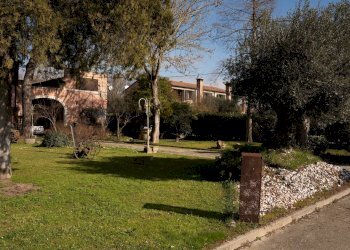 Giardino - Locale Commerciale Ceregnano - foto 11