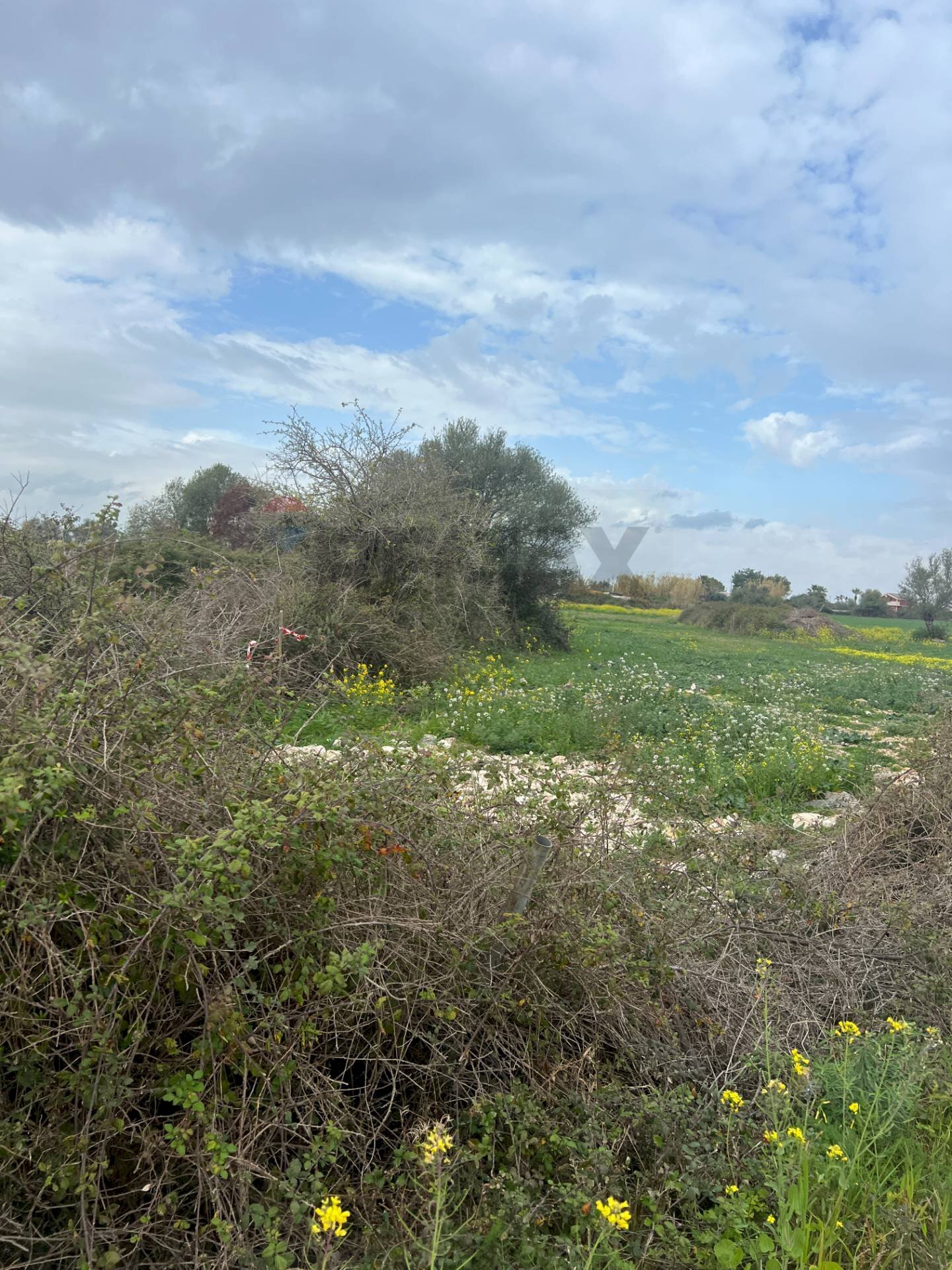 Foto 3 - Terreno agricolo Augusta - foto 3