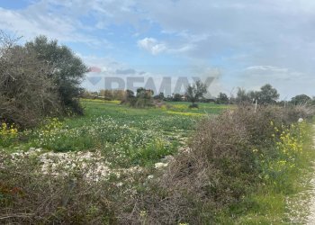 Foto 2 - Terreno agricolo Augusta - foto 2