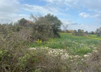 Foto 3 - Terreno agricolo Augusta - foto 3