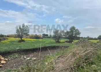 Foto 4 - Terreno agricolo Augusta - foto 4