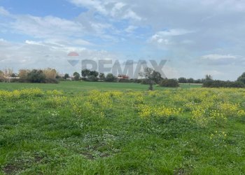 Foto 7 - Terreno agricolo Augusta - foto 7