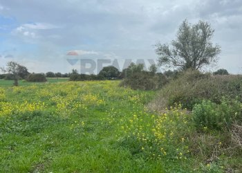 Foto 8 - Terreno agricolo Augusta - foto 8