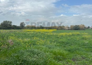 Foto 10 - Terreno agricolo Augusta - foto 10