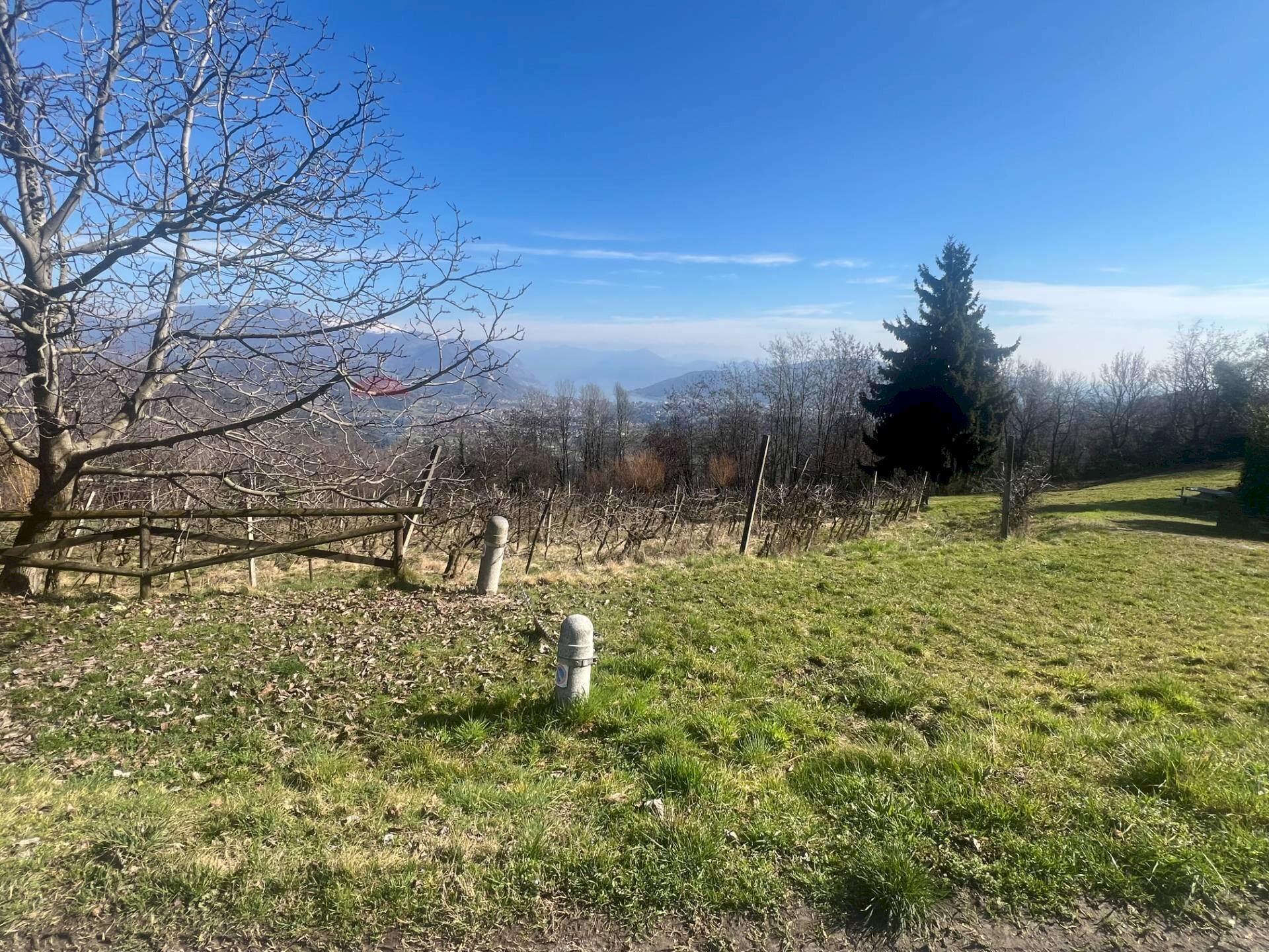 Vista delle montagne - Terreno agricolo VIA STRADA COMUNALE DEL COLLE, Gandosso - foto 2