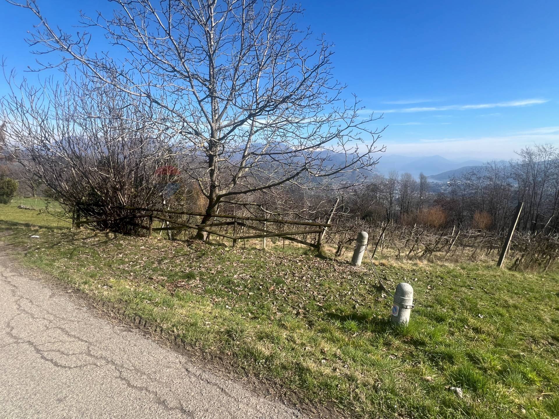 Non correlato - Terreno agricolo VIA STRADA COMUNALE DEL COLLE, Gandosso - foto 3