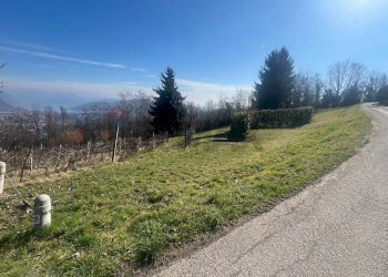 Giardino - Terreno agricolo VIA STRADA COMUNALE DEL COLLE, Gandosso - foto 1