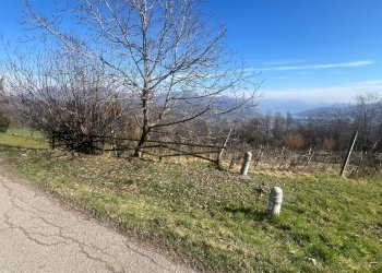 Non correlato - Terreno agricolo VIA STRADA COMUNALE DEL COLLE, Gandosso - foto 3