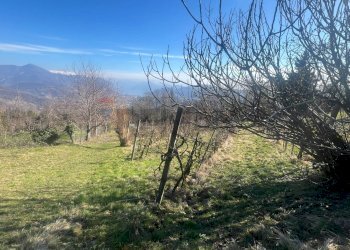 Vista delle montagne - Terreno agricolo VIA STRADA COMUNALE DEL COLLE, Gandosso - foto 4