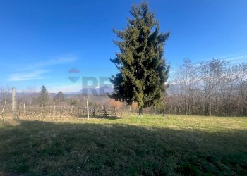 Vista delle montagne - Terreno agricolo VIA STRADA COMUNALE DEL COLLE, Gandosso - foto 5