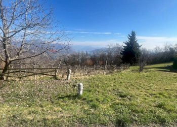 Vista delle montagne - Terreno agricolo VIA STRADA COMUNALE DEL COLLE, Gandosso - foto 9