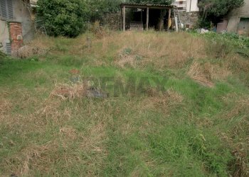 Giardino - Casa semi indipendente Strada provinciale delle valli di lanzo
 
101, Pessinetto - foto 20