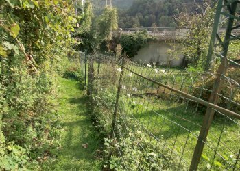 Giardino - Casa semi indipendente Strada provinciale delle valli di lanzo
 
101, Pessinetto - foto 21