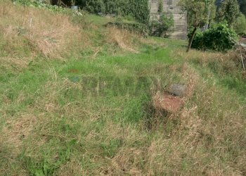 Giardino - Casa semi indipendente Strada provinciale delle valli di lanzo
 
101, Pessinetto - foto 23