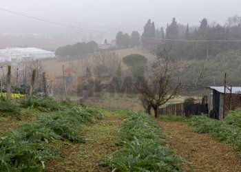 Vista delle montagne - Quadrilocale Recanati - foto 40
