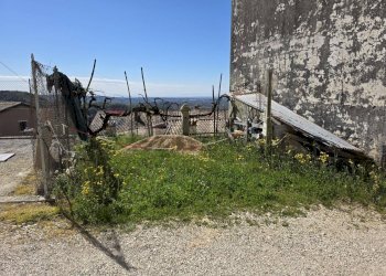 Giardino - Casa semi indipendente Via Cimitero
 
44, Valdobbiadene - foto 4