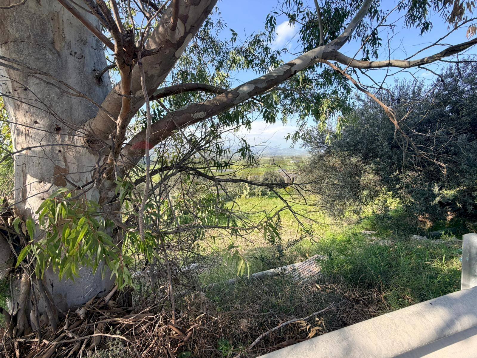 Giardino - Terreno agricolo FONDACAZZO, Mineo - foto 1