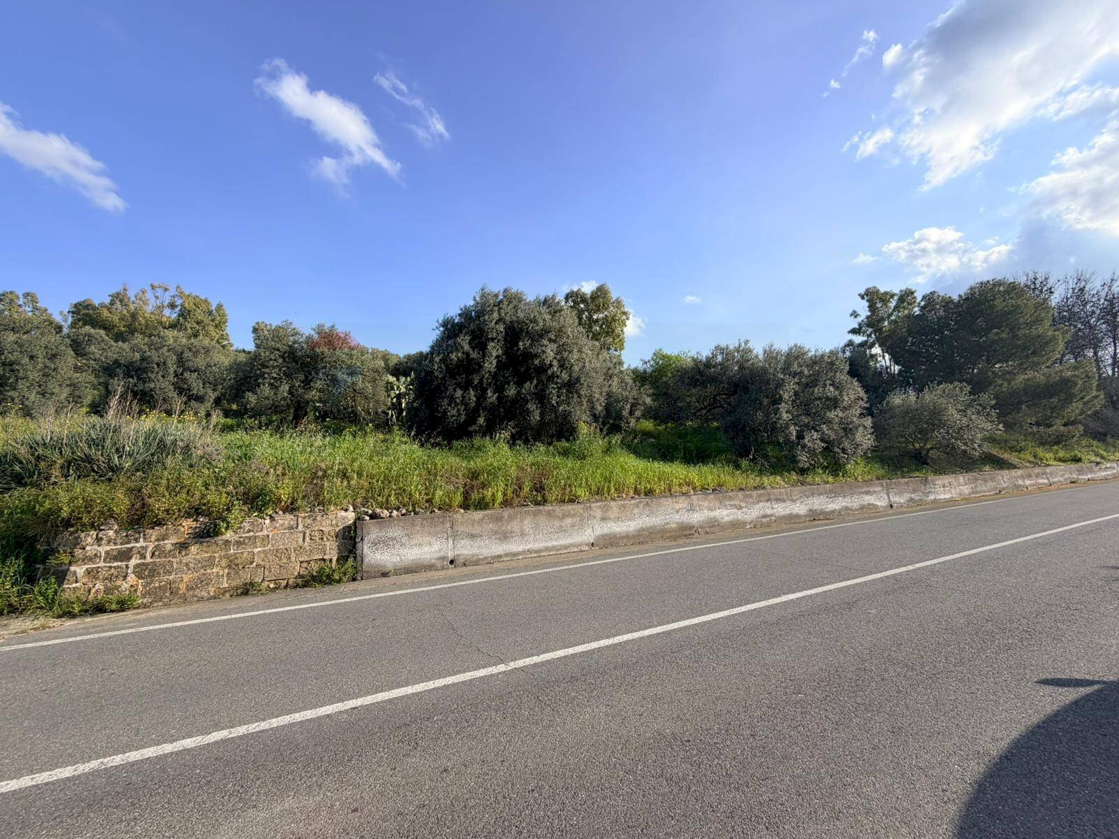 Non correlato - Terreno agricolo FONDACAZZO, Mineo - foto 3