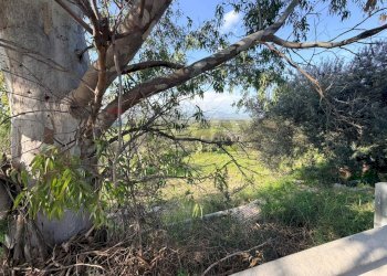 Giardino - Terreno agricolo FONDACAZZO, Mineo - foto 1