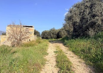 Giardino - Terreno agricolo FONDACAZZO, Mineo - foto 5