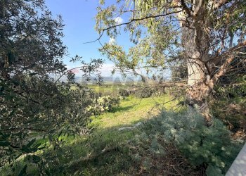 Giardino - Terreno agricolo FONDACAZZO, Mineo - foto 8