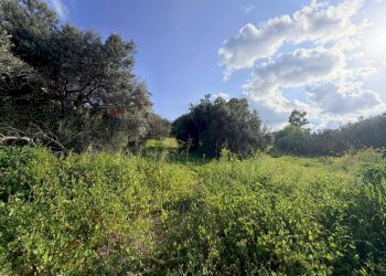 Giardino - Terreno agricolo FONDACAZZO, Mineo - foto 12