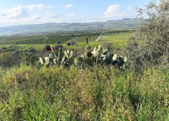 Vista delle montagne - Terreno agricolo FONDACAZZO, Mineo - foto 13