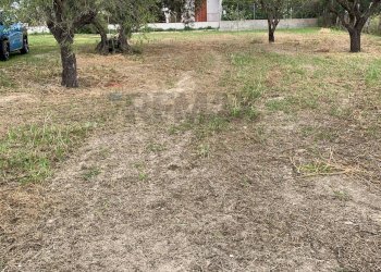 Giardino - Villa via Pozzallesi d'America, Pozzallo - foto 8