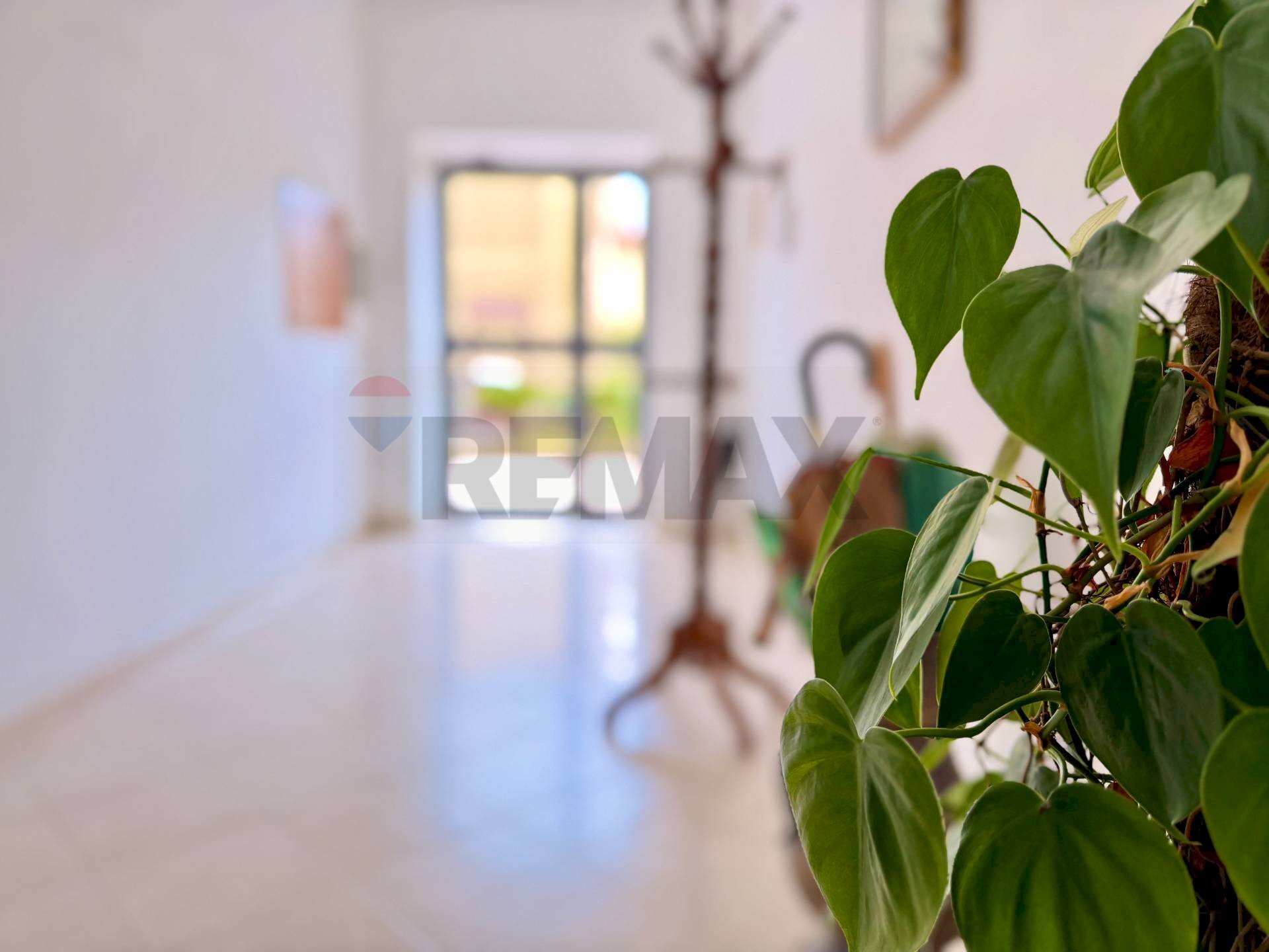 Dettagli - Quadrilocale VIA F.RUSSO
 
12, Calvizzano - foto 1