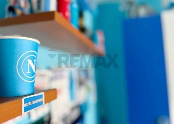 Dettagli - Quadrilocale VIA F.RUSSO
 
12, Calvizzano - foto 25