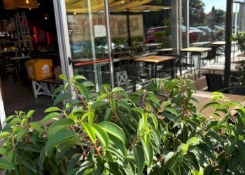 Foto 7 - Attività Commerciale VIA STATALE
 
48, Osnago - foto 7