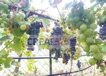 Foto 24 - Villa contrada Feo, Graniti - photo 24