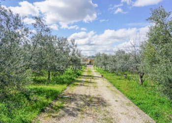 Foto 22 - Villa Contrada Cugno Di Volpe - Posta Milella, Andria - foto 22