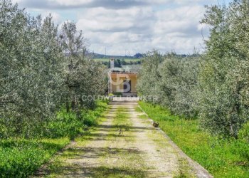 Foto 23 - Villa Contrada Cugno Di Volpe - Posta Milella, Andria - foto 23