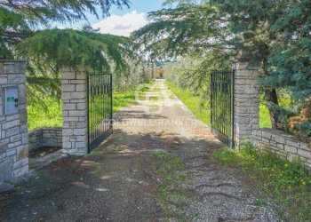 Foto 25 - Villa Contrada Cugno Di Volpe - Posta Milella, Andria - foto 25