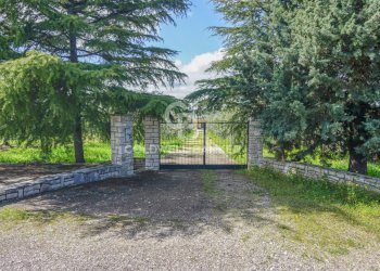 Foto 26 - Villa Contrada Cugno Di Volpe - Posta Milella, Andria - foto 26