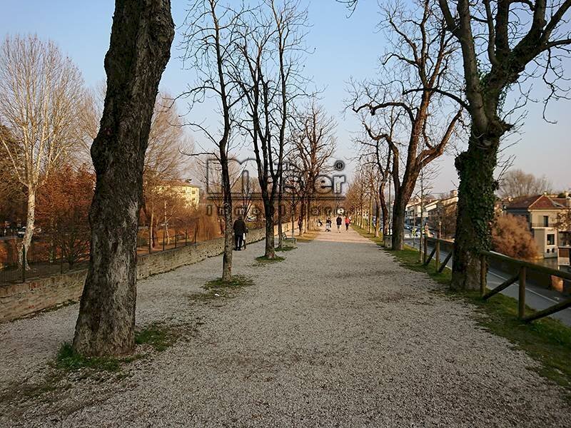 Foto 3 - Villa VIA BARACCA, Treviso - foto 3