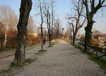 Foto 3 - Villa VIA BARACCA, Treviso - foto 3