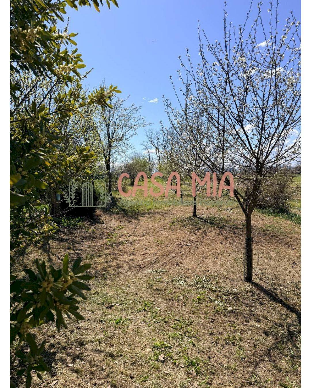 Foto 2 - Casa semi indipendente Via Santimento, Rottofreno - foto 2