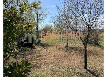 Foto 2 - Casa semi indipendente Via Santimento, Rottofreno - foto 2