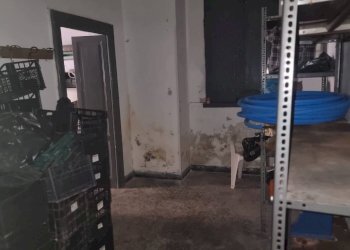 Foto 10 - Three-room apartment Via Temenide
71, Taranto - photo 10