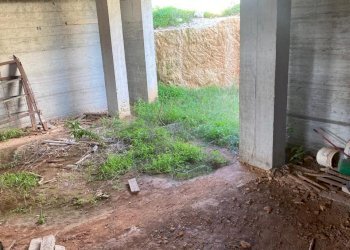 WhatsApp Image 2025-12-04 at 12.01.40.jpeg - Rustico contrada boschi pisana, Pozzallo - foto 25