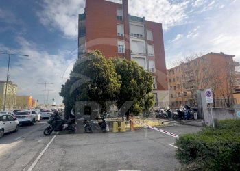 AFFITTO QUADRILOCALE ZONA SAFFI BOLOGNA-14.jpg - Quadrilocale Viale Sandro Pertini 8, Bologna - foto 15