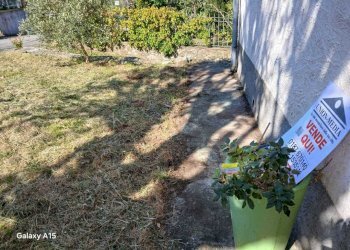 WhatsApp Image 2026-04-07 at 12.08.49.jpeg - Terratetto - Terracielo Fosdinovo - foto 14