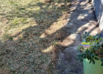 WhatsApp Image 2026-04-07 at 12.08.48.jpeg - Terratetto - Terracielo Fosdinovo - foto 15