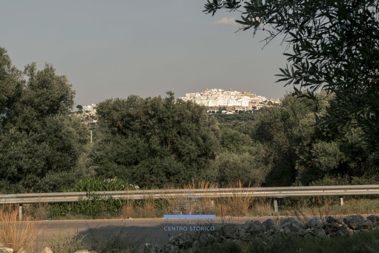 44-9.jpg.jpg - Casa indipendente Corso Giuseppe Mazzini, Ostuni - foto 3