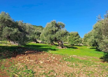 38-20240116_103126.jpg.jpg - Casa indipendente Corso Giuseppe Mazzini, Ostuni - foto 29