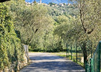 ChatGPT Image 3 apr 2026, 15_20_46.png - Casa indipendente Santa Margherita Ligure - foto 12