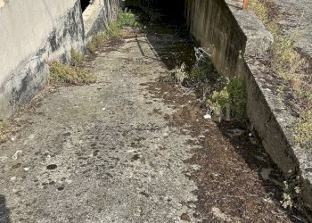 IMG_5100.JPG - Villa Via Giacomo Puccini 5, Oppeano - foto 11